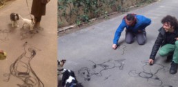 dibujando perros